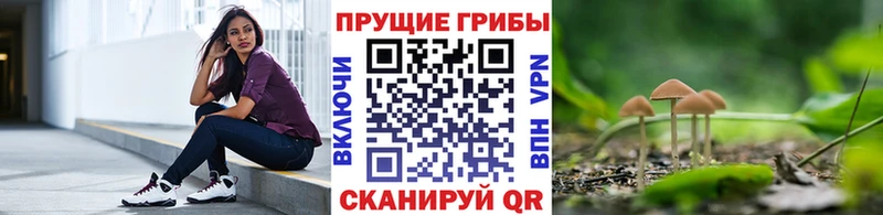 Псилоцибиновые грибы ЛСД  Купить где  Урень 